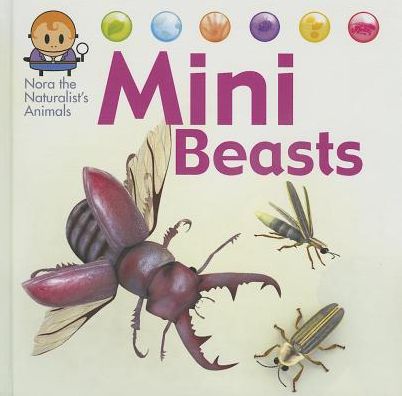 Cover for David West · Mini Beasts (Nora the Naturalist's Animals) (Hardcover Book) (2013)