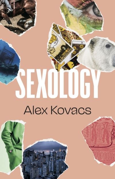 Sexology - British Literature Series - Alex Kovacs - Książki - Dalkey Archive Press - 9781628975024 - 15 sierpnia 2024