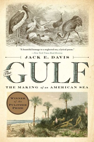 Cover for Davis, Jack E. (University of Florida) · The Gulf: The Making of An American Sea (Paperback Book) (2018)