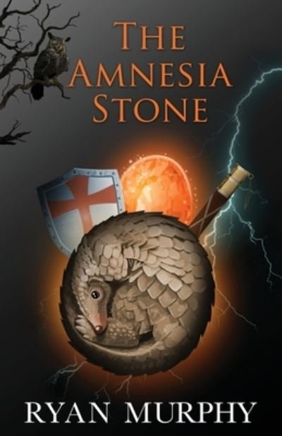 Cover for Ryan Murphy · The Amnesia Stone (Paperback Book) (2020)