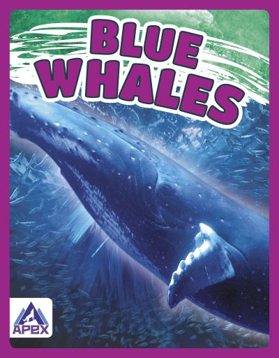 Cover for Katie Chanez · Blue Whales - Giants of the Sea (Hardcover Book) (2021)