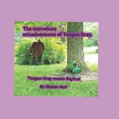 Cover for Shetan Noir · The marvelous misadventures of Teagun Gray (Pocketbok) (2019)