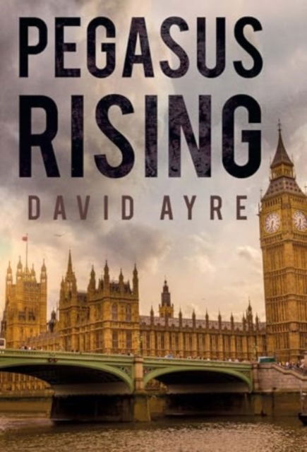 Pegasus Rising - David Ayre - Bücher - Olympia Publishers - 9781800742024 - 31. Oktober 2024