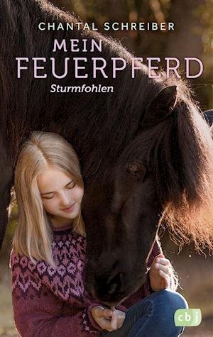 Cover for Chantal Schreiber · Mein Feuerpferd - Sturmfohlen (Book) (2022)