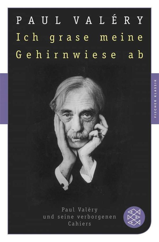 Cover for Paul Valéry · Fischer TB.90602 Valéry:Ich grase meine (Buch)
