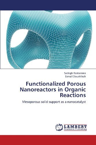 Cover for Esmail Doustkhah · Functionalized Porous Nanoreactors in Organic Reactions: Mesoporous Solid Support As a Nanocatalyst (Paperback Book) (2013)