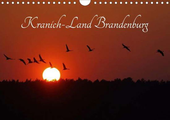 Cover for Konieczka · Kranich-Land Brandenburg (Wan (Book)