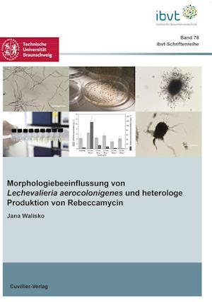 Cover for Jana Walisko · Morphologiebeeinflussung von Lechevalieria aerocolonigenes und heterologe Produktion von Rebeccamycin (Paperback Book) (2017)