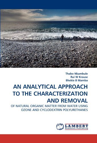 Cover for Bhekie B Mamba · An Analytical Approach to the Characterization and Removal: of Natural Organic Matter from Water Using Ozone    and Cyclodextrin Polyurethanes (Paperback Book) (2010)