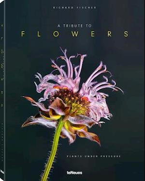 Cover for Richard Fischer · A Tribute to Flowers: Plants Under Pressure (Hardcover Book) (2021)