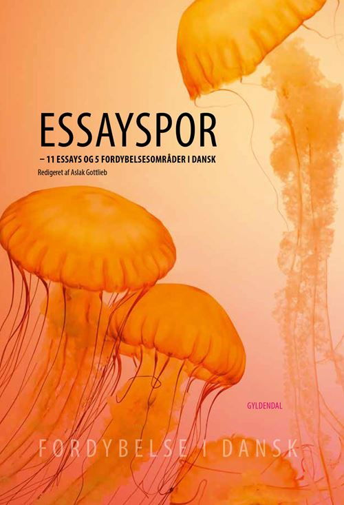 Cover for Aslak Gottlieb · Fordybelse i dansk: Essayspor (Bound Book) [1e uitgave] (2021)