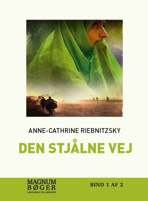Cover for Anne-Cathrine Riebnitzsky · Den stjålne vej (Hæftet bog) [1. udgave] (2018)