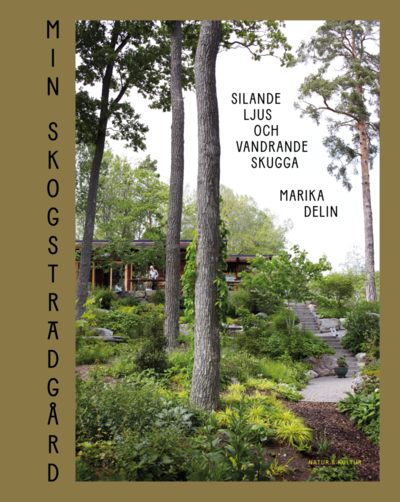 Cover for Marika Delin · Min skogsträdgård : silande ljus och vandrande skugga (Hardcover Book) (2022)