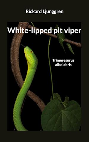 Cover for Rickard Ljunggren · White-lipped pit viper : Trimeresurus albolabris (Book) (2024)