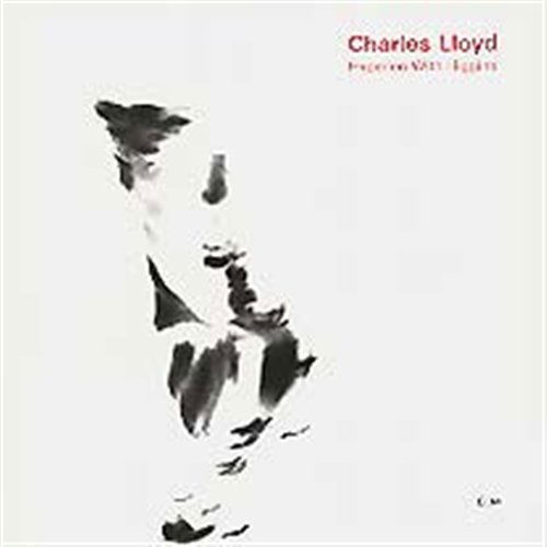 Hyperion with Higgin - Lloyd Charles - Muziek - SUN - 0044001400025 - 9 september 2002