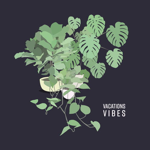 Cover for Vacations · Vibes (CD) (2022)