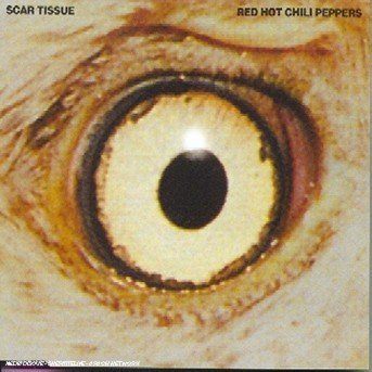 Cover for Red Hot Chili Peppers · Scar Tissue -cds- (CD)