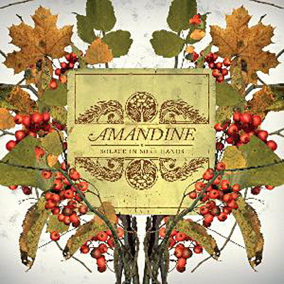 Amandine · Solace in Sore Hands (CD) (2007)