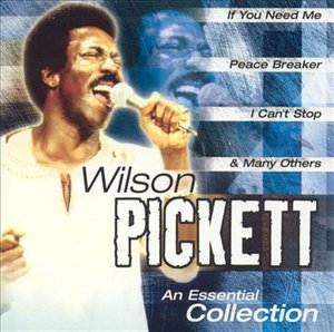 Cover for Wilson Pickett · Pickett Wilson - Essential Collection (CD)
