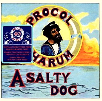 A Salty Dog - Procol Harum - Music - SALVO - 0698458812025 - February 22, 2010