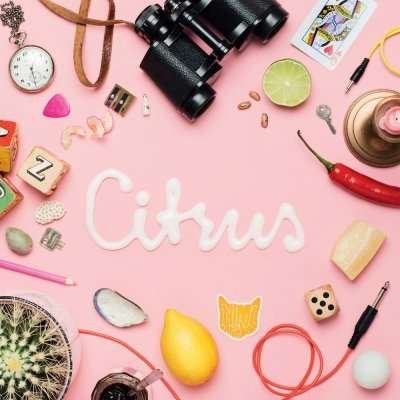 Cover for Animal Daydream · Citrus (7&quot;) [EP edition] (2016)