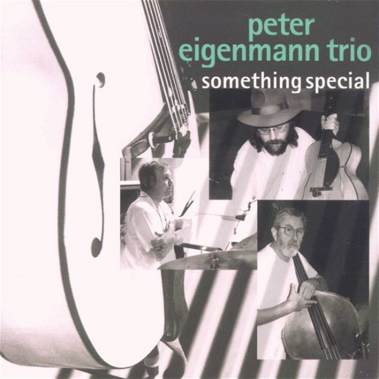 Something Special - Peter Eigenmann - Musik - TCB - 0725095201025 - 11. Juli 2000