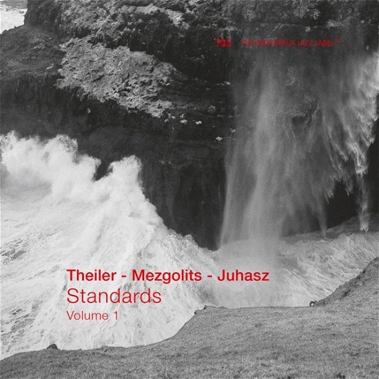 Cover for Theiler / Mezgolits / Juhasz · Standards - Volume 1 (CD) (2023)