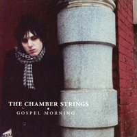 Cover for Chamber Strings · Gospel Morning (CD) (2020)