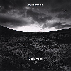 Darkwood - David Darling - Musik - JAZZ - 0731452375025 - 14. März 2000