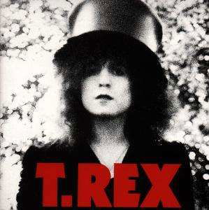 Cover for T. Rex · The Slider (CD) (2006)