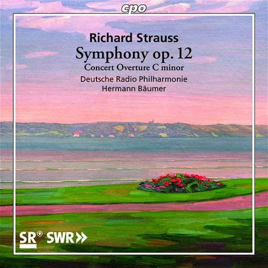Richard Strauss: Symphony. Op. 12 / Concert Overture In C Minor - Deutsche Rp / Baumer - Muziek - CPO - 0761203529025 - 29 november 2019