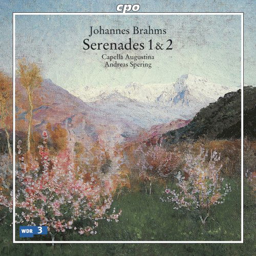 Serenades 1 & 2 - Brahms / Capella Augustina / Spering - Musik - CPO - 0761203730025 - 25. marts 2008