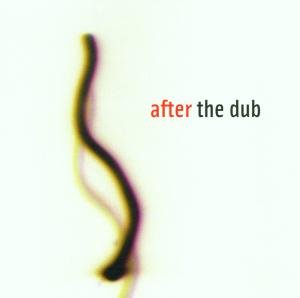 Cover for Various Artists · After the Dub (CD) (2013)