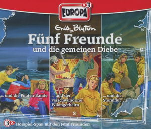 Cover for Blyton · Fünf Fr.gemeinen Diebe. (Bog) (2013)