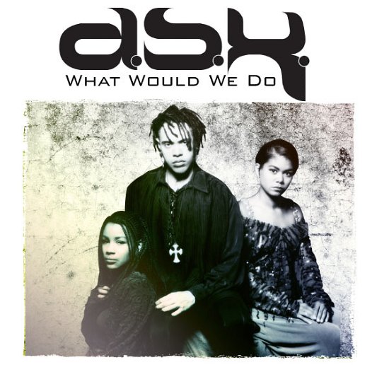 Cover for Dsk · What Would We Do-Dsk (CD) (2012)