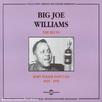 Blues: Baby Please Don't Go 1935-1951 - Big Joe Williams - Muziek - FREMEAUX & ASSOCIES - 3448960227025 - 1 april 2003