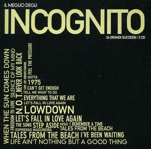 Cover for Incognito · Il Meglio Di Incognito (CD) (2012)