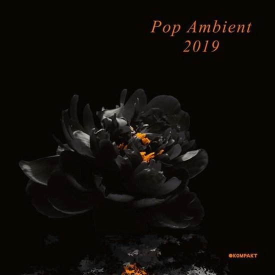Pop Ambient 2019 / Various - Pop Ambient 2019 / Various - Musik - KOMPAKT - 4250101400025 - 7. december 2018