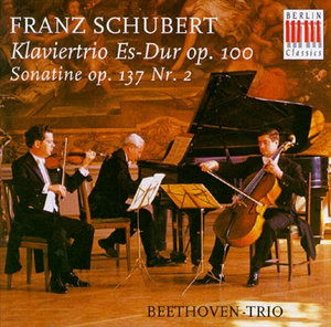 Schubert-symphony Nº 9 "The Great" - Schubert - Musik - Naxos - 4891030505025 - 