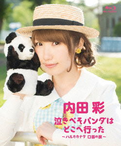 Cover for Uchida Aya · Nakibeso Panda Ha Doko He Itta -harukakanata Kuchibue No Tabi- (MBD) [Japan Import edition] (2015)