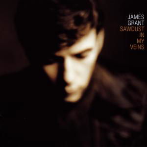 Cover for James Grant · Sawdust In My Eyes (CD) (2001)