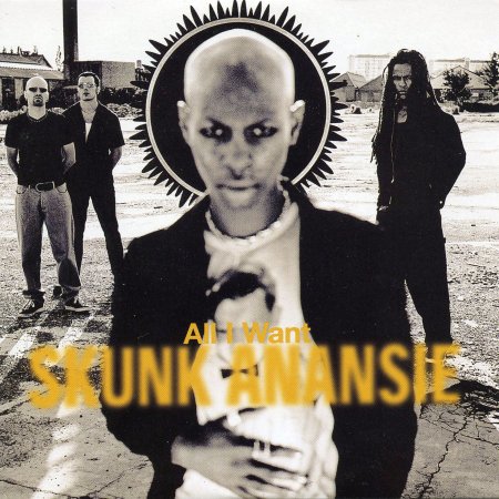 Skunk Anansie-all I Want - Skunk Anansie - Musiikki -  - 5016958030025 - 