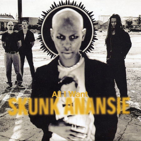 Skunk Anansie-all I Want - Skunk Anansie - Music -  - 5016958030025 - 