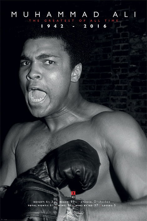 Cover for Muhammad Ali · Muhammad Ali - Commemorative - Greatest (Poster Maxi 61X91,5 Cm) (MERCH)