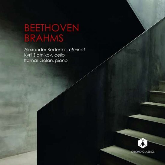 Cover for Beethoven / Bedenko / Golan · L.V. Beethoven / Johannes Brahms (CD) (2019)
