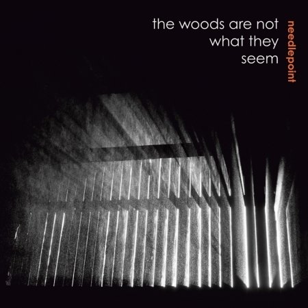 Cover for Needlepoint · The Woods Are Not What They Seem (CD) (2013)