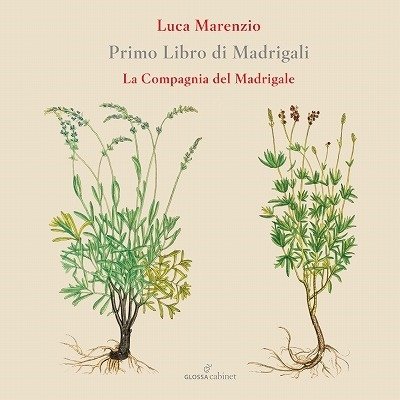 Cover for La Compagnia Del Madrigale · Primo Libro Di Madrigali (CD) (2022)
