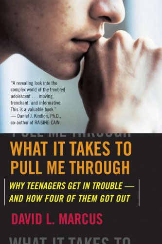 Cover for David L. Marcus · What It Takes to Pull Me Through: Why Teenagers Get in Trouble and How Four of Them Got out (Paperback Book) [Reprint edition] (2006)