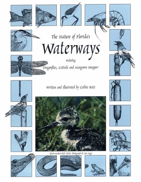 Cover for Cathie Katz · The Nature of Florida's Waterways: Including Dragonflies, Cattails, and Mangrove Snapper (Paperback Book) (2002)