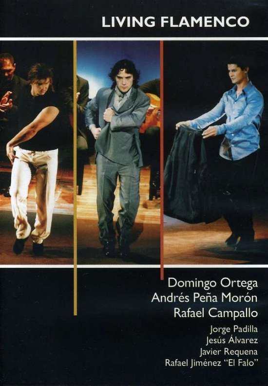 Cover for Varios. · Living Flamenco (DVD)
